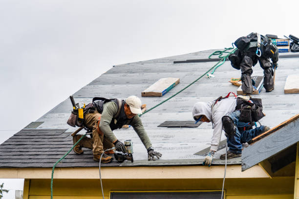 Professional Gutter Installation technician working in Hallsboro, NC